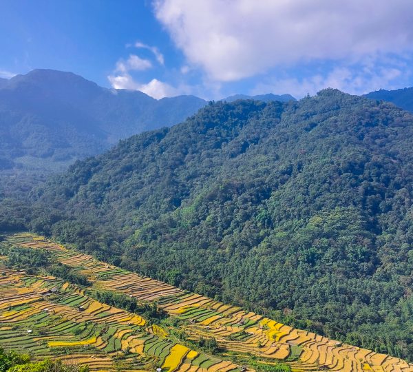 5 Days Dzukou Valley & Nagaland Village Circuit