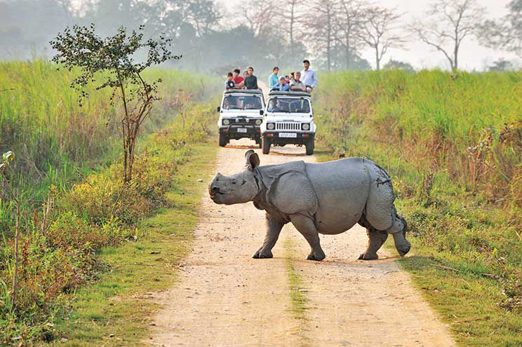 7 Days Kaziranga & Meghalaya Experience